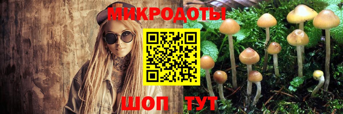 Галлюциногенные грибы Magic Shrooms  Вход с VPN  как найти   Озёрск 